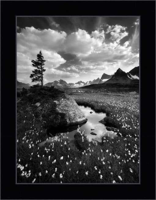 Print & Frame With Matboard & Glass