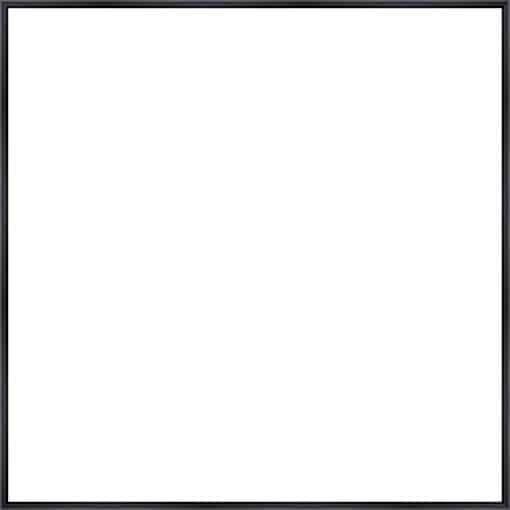 Frame Your Canvas Art