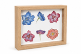 Shadow Box