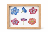 Shadow Box