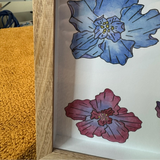 Shadow Box