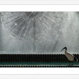 Frame your paper art