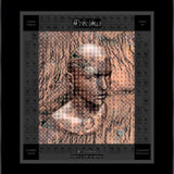 Canvas Print & Frame