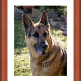 Print & Frame With Matboard & Glass