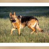 Print & Frame With Matboard & Glass