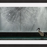 Print & Frame With Matboard & Glass