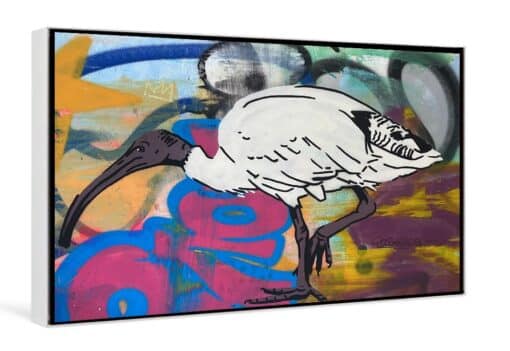 Scott Marsh Binking - Funky Chicken 2 71x51cm Alexandria Shop - Image 3