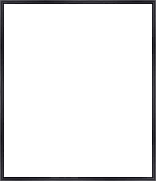 Frame Your Canvas Art