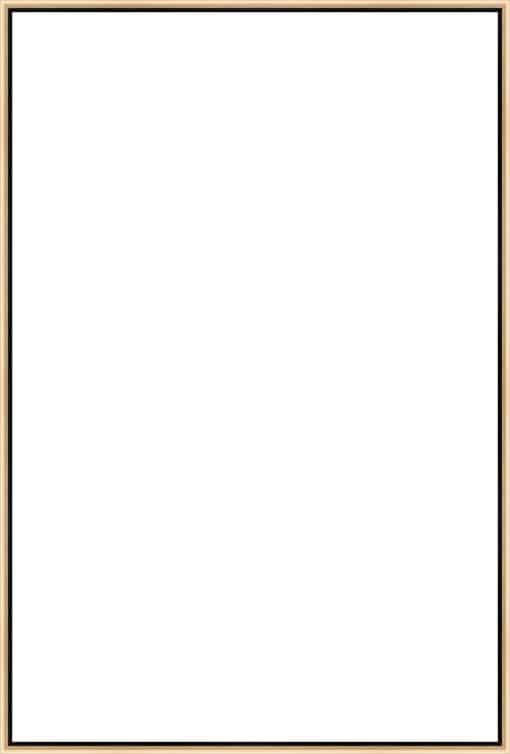 Frame Your Canvas Art