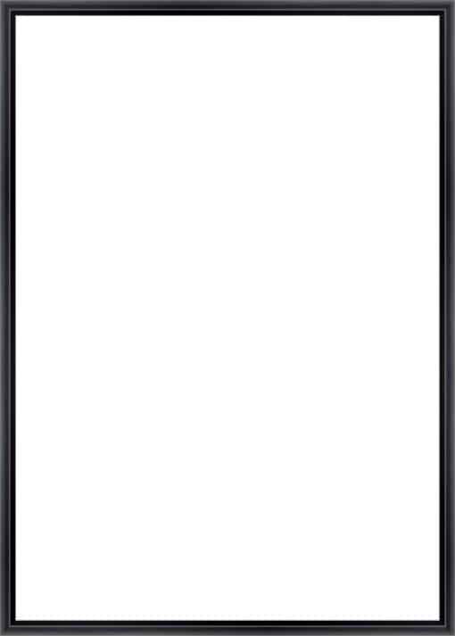 Frame Your Canvas Art