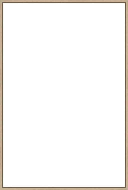 Frame Your Canvas Art