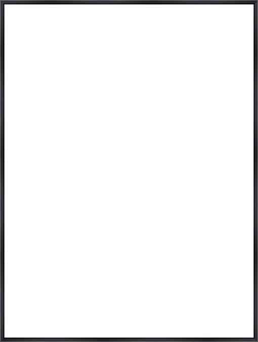 Frame Your Canvas Art