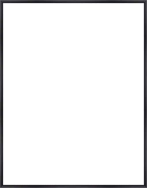 Frame Your Canvas Art